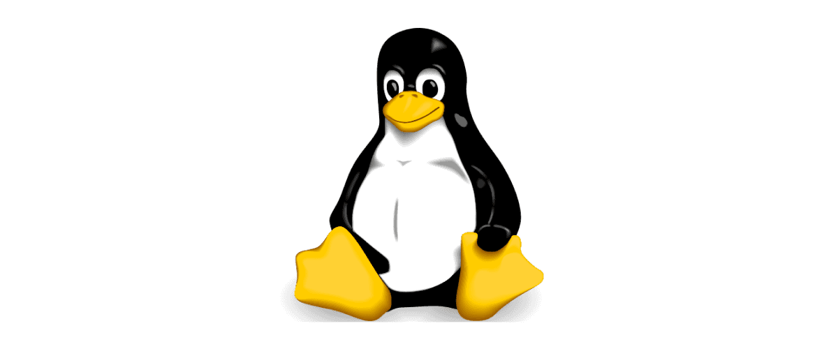 Mastering Essential Linux Commands